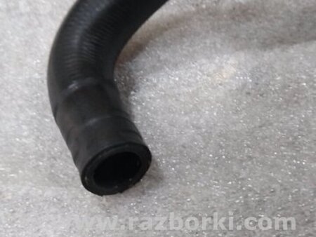 ФОТО Патрубок системы охлаждения для Audi (Ауди) A4 V B9 - 8W (2015-) Київ