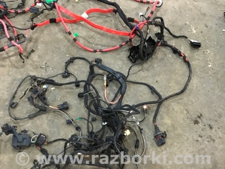 ФОТО Проводка салона для Audi (Ауди) A4 V B9 - 8W (2015-) Київ