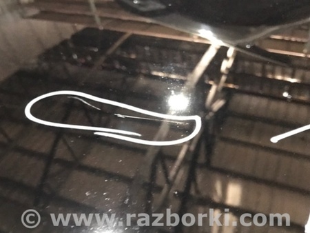 ФОТО Стекло двери для Audi (Ауди) A4 V B9 - 8W (2015-) Київ