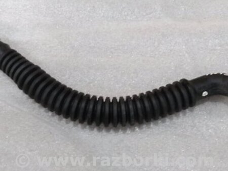 ФОТО Дренажный шланг для Audi (Ауди) A4 V B9 - 8W (2015-) Київ