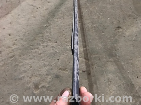 ФОТО Молдинг двери для Audi (Ауди) A4 V B9 - 8W (2015-) Київ