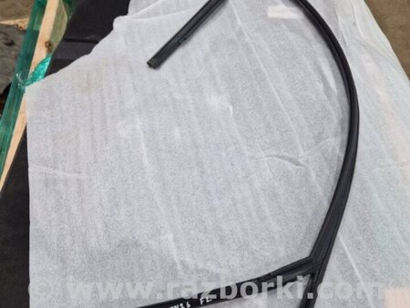 ФОТО Уплотнительная резинка боковой двери для Audi (Ауди) A4 V B9 - 8W (2015-) Київ