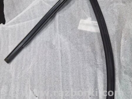 ФОТО Уплотнительная резинка боковой двери для Audi (Ауди) A4 V B9 - 8W (2015-) Київ