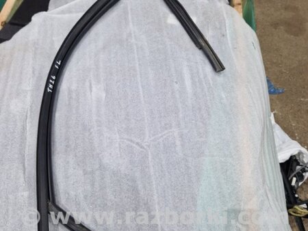 ФОТО Уплотнительная резинка боковой двери для Audi (Ауди) A4 V B9 - 8W (2015-) Київ