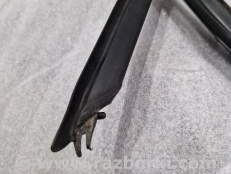 ФОТО Уплотнительная резинка боковой двери для Audi (Ауди) A4 V B9 - 8W (2015-) Київ