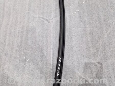 ФОТО Уплотнитель стекла двери для Audi (Ауди) A4 V B9 - 8W (2015-) Київ