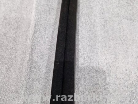 ФОТО Уплотнитель стекла двери для Audi (Ауди) A4 V B9 - 8W (2015-) Київ