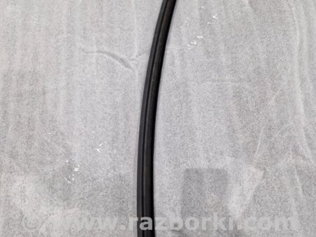 ФОТО Уплотнитель стекла двери для Audi (Ауди) A4 V B9 - 8W (2015-) Київ