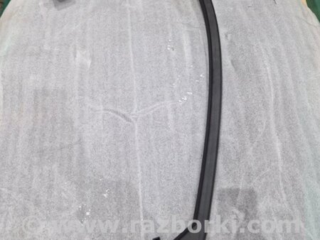 ФОТО Накладка двери для Audi (Ауди) A4 V B9 - 8W (2015-) Київ