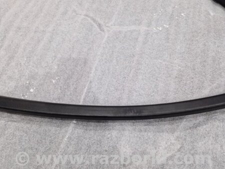 ФОТО Накладка двери для Audi (Ауди) A4 V B9 - 8W (2015-) Київ