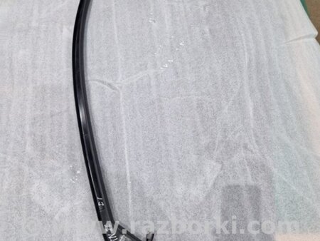 ФОТО Накладка двери для Audi (Ауди) A4 V B9 - 8W (2015-) Київ