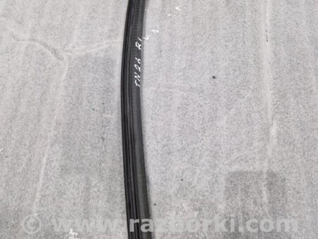 ФОТО Уплотнитель стекла двери для Audi (Ауди) A4 V B9 - 8W (2015-) Київ