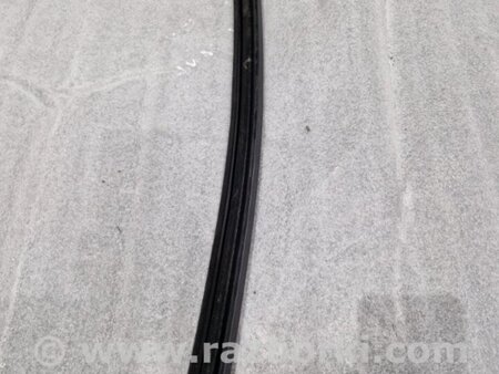 ФОТО Уплотнитель стекла двери для Audi (Ауди) A4 V B9 - 8W (2015-) Київ