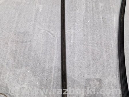 ФОТО Молдинг двери для Audi (Ауди) A4 V B9 - 8W (2015-) Київ