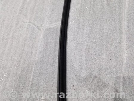 ФОТО Уплотнитель стекла двери для Audi (Ауди) A4 V B9 - 8W (2015-) Київ