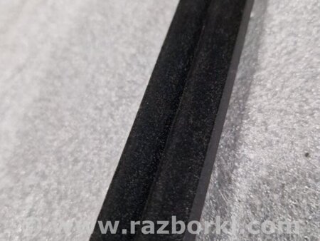 ФОТО Уплотнитель стекла двери для Audi (Ауди) A4 V B9 - 8W (2015-) Київ