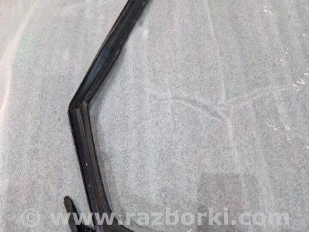 ФОТО Уплотнительная резинка боковой двери для Audi (Ауди) A4 V B9 - 8W (2015-) Київ