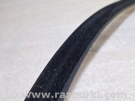 ФОТО Уплотнитель стекла двери для Audi (Ауди) A4 V B9 - 8W (2015-) Київ