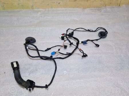 ФОТО Проводка двери для Audi (Ауди) A4 V B9 - 8W (2015-) Київ