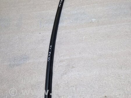 ФОТО Уплотнитель стекла двери для Audi (Ауди) A4 V B9 - 8W (2015-) Київ