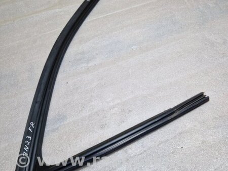ФОТО Уплотнительная резинка боковой двери для Audi (Ауди) A4 V B9 - 8W (2015-) Київ