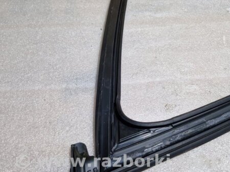 ФОТО Уплотнительная резинка боковой двери для Audi (Ауди) A4 V B9 - 8W (2015-) Київ