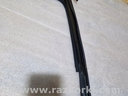 ФОТО Уплотнительная резинка боковой двери для Audi (Ауди) A4 V B9 - 8W (2015-) Київ