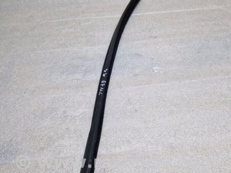 ФОТО Уплотнитель стекла двери для Audi (Ауди) A4 V B9 - 8W (2015-) Київ