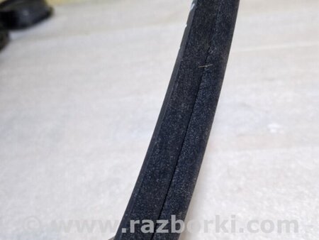 ФОТО Уплотнитель стекла двери для Audi (Ауди) A4 V B9 - 8W (2015-) Київ