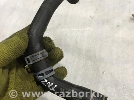 ФОТО Патрубок системы охлаждения для Audi (Ауди) A4 V B9 - 8W (2015-) Київ