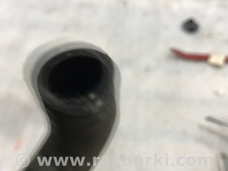 ФОТО Патрубок системы охлаждения для Audi (Ауди) A4 V B9 - 8W (2015-) Київ