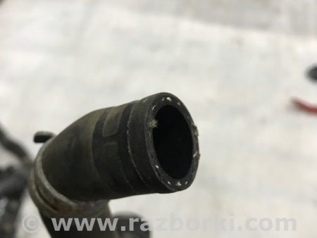 ФОТО Патрубок системы охлаждения для Audi (Ауди) A4 V B9 - 8W (2015-) Київ