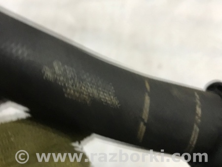 ФОТО Патрубок системы охлаждения для Audi (Ауди) A4 V B9 - 8W (2015-) Київ