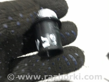 ФОТО Заглушка для Audi (Ауди) A4 V B9 - 8W (2015-) Київ