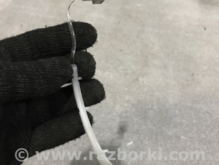 ФОТО Планка подсветки для Audi (Ауди) A4 V B9 - 8W (2015-) Київ