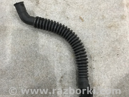 ФОТО Шланг вентиляционный для Audi (Ауди) A4 V B9 - 8W (2015-) Київ