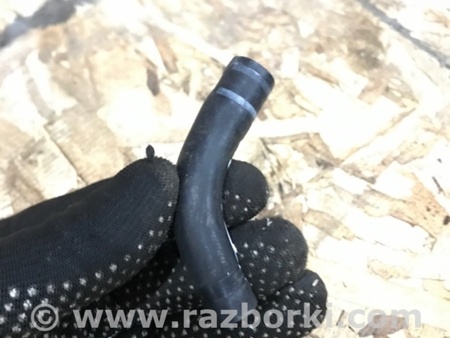 ФОТО Трубка вакуумная для Audi (Ауди) A4 V B9 - 8W (2015-) Київ