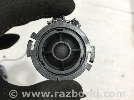 ФОТО Динамик для Audi (Ауди) A4 V B9 - 8W (2015-) Київ