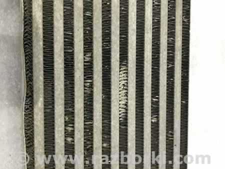 ФОТО Интеркулер для Audi (Ауди) A4 V B9 - 8W (2015-) Київ