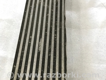 ФОТО Интеркулер для Audi (Ауди) A4 V B9 - 8W (2015-) Київ