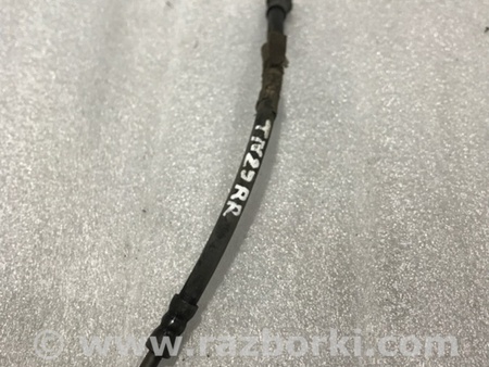 ФОТО Шланг тормозной для Audi (Ауди) A4 V B9 - 8W (2015-) Київ