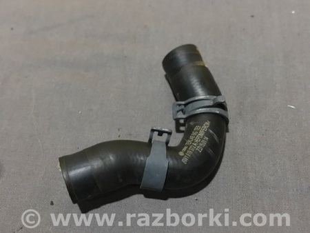 ФОТО Патрубок системы охлаждения для Audi (Ауди) A4 V B9 - 8W (2015-) Київ