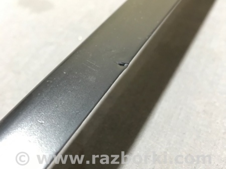 ФОТО Молдинг лобового стекла для Audi (Ауди) A4 V B9 - 8W (2015-) Київ