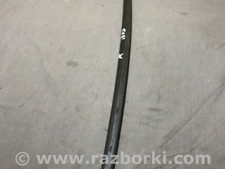 ФОТО Молдинг лобового стекла для Audi (Ауди) A4 V B9 - 8W (2015-) Київ