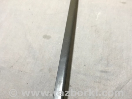 ФОТО Молдинг лобового стекла для Audi (Ауди) A4 V B9 - 8W (2015-) Київ