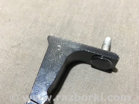 ФОТО Петля двери для Audi (Ауди) A4 V B9 - 8W (2015-) Київ