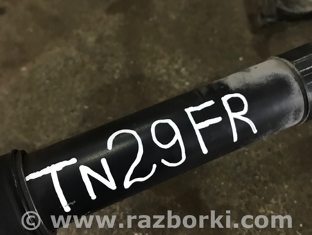 ФОТО Амортизатор подвески для Audi (Ауди) A4 V B9 - 8W (2015-) Київ