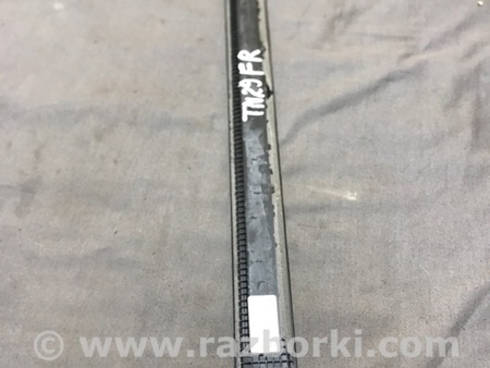 ФОТО Накладка на порог салона для Audi (Ауди) A4 V B9 - 8W (2015-) Київ