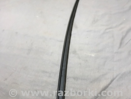 ФОТО Молдинг лобового стекла для Audi (Ауди) A4 V B9 - 8W (2015-) Київ