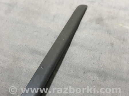 ФОТО Молдинг лобового стекла для Audi (Ауди) A4 V B9 - 8W (2015-) Київ